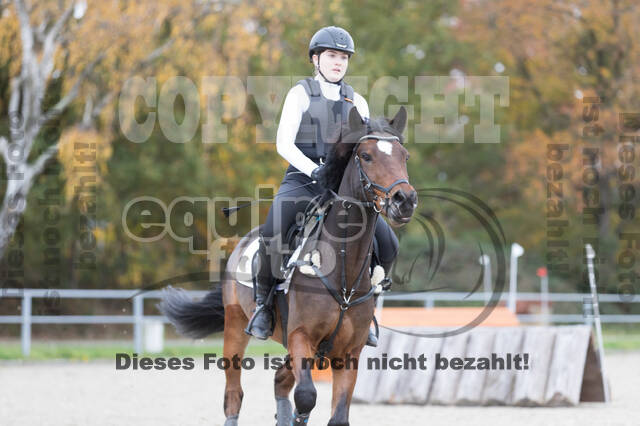 IGV Lehrgang der Sieger der Cups mit Frank Ostholt