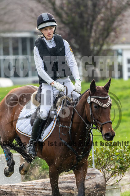 Goldene Schärpe 2020 - Pferde