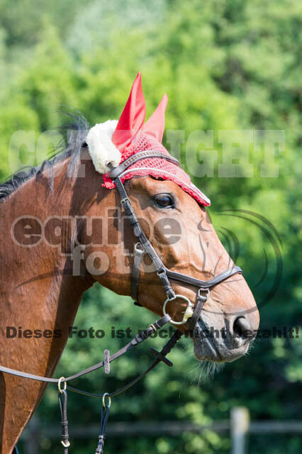 Tholi-Tour Lehrgang Vanessa Bölting