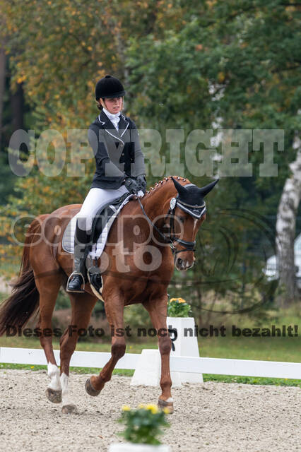 Deutsche Meisterschaft Vielseitigkeit (Luhmühlen)