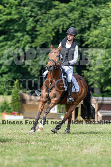 Goldene Schärpe 2021 - Ponys