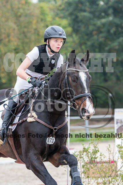 Goldene Schärpe 2020 - Pferde