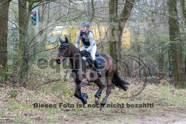 Eventing im Pferdesportzentrum Rheinland (Late Entry 14.03.2022)