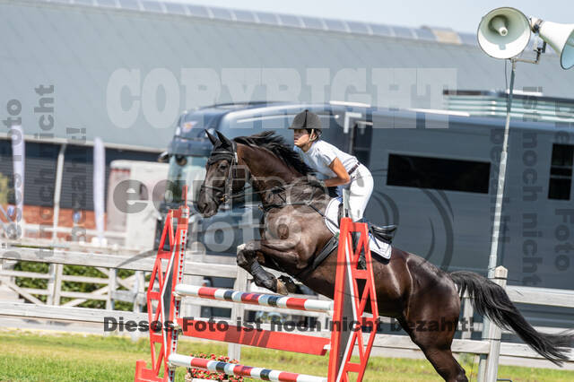 Kronenberg - De Peelbergen (August 2020)