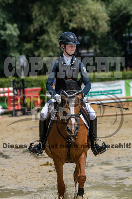 Goldene Schärpe 2021 - Ponys