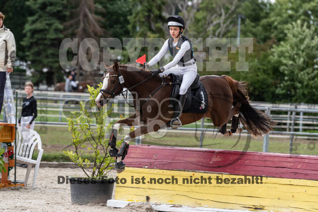 Late-Entry-Vielseitigkeit Langenfeld (06.+07.07.2020)