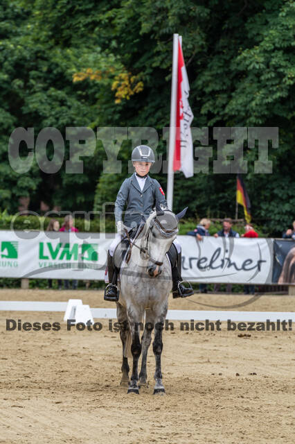 Goldene Schärpe 2021 - Ponys