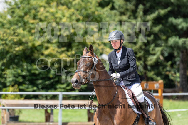 Late-Entry-Vielseitigkeit Langenfeld (06.+07.07.2020)