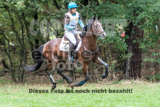 Vielseitigkeit RSV Wesel Obrighoven (26.+27.09.2020)