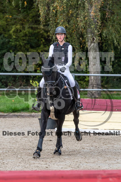 Goldene Schärpe 2020 - Pferde