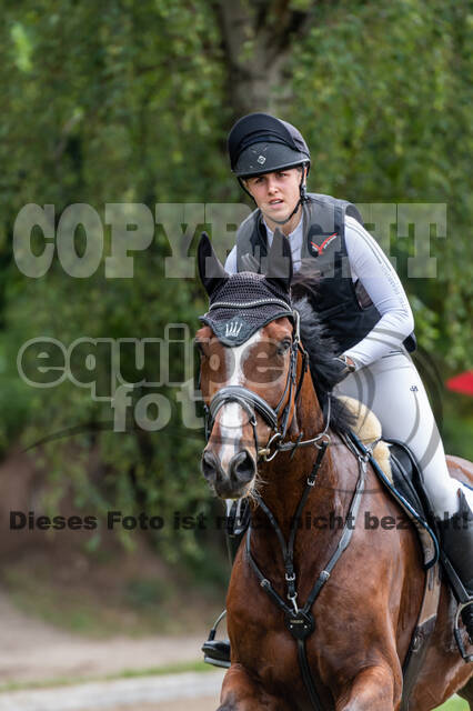 Late-Entry-Vielseitigkeit Langenfeld (11.+13./14.06.2020)