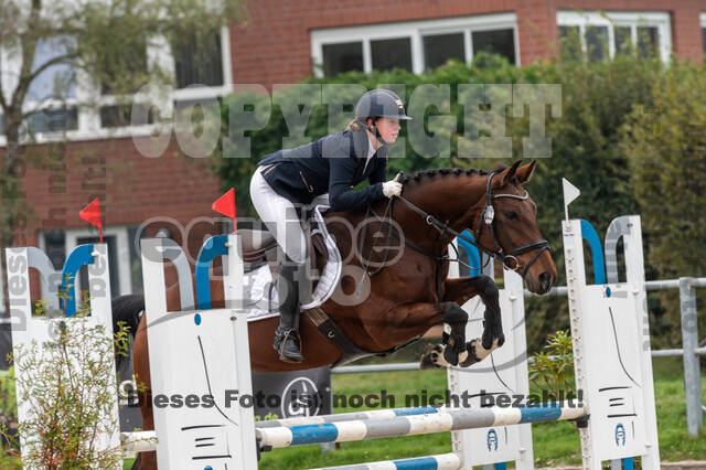 Goldene Schärpe 2020 - Pferde