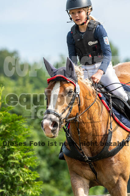 Goldene Schärpe 2021 - Ponys