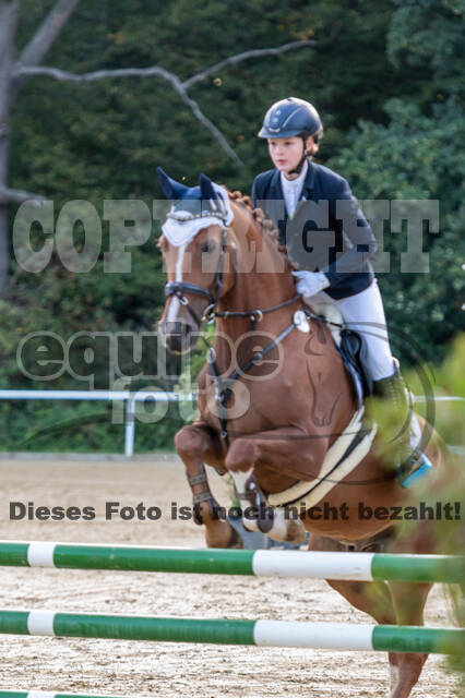 RFV Dinslaken-Hiesfeld (Herbstturnier)
