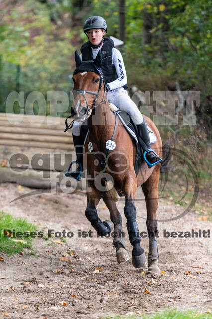 Goldene Schärpe 2020 - Pferde