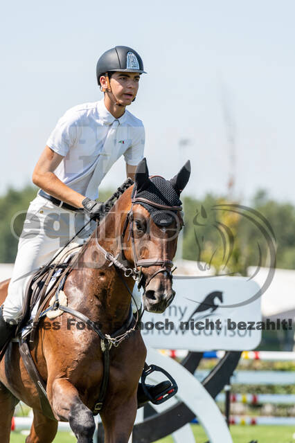 Kronenberg - De Peelbergen (August 2020)