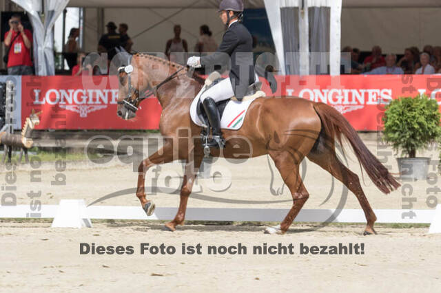 FEI European Championship Eventing 2017