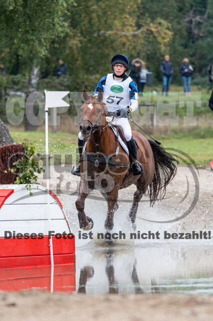 Deutsche Meisterschaft Vielseitigkeit (Luhmühlen)