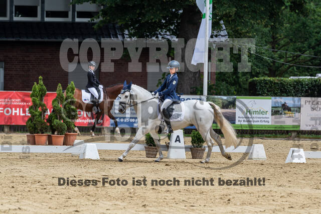 Goldene Schärpe 2021 - Ponys