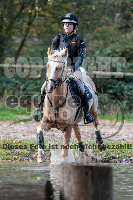 IGV Lehrgang der Sieger der Cups mit Frank Ostholt