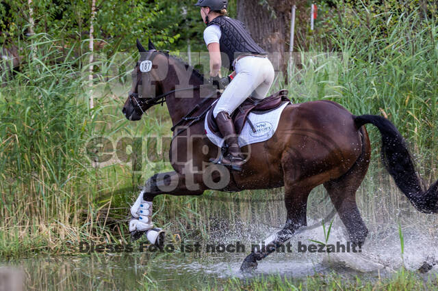 Late-Entry Vielseitigkeit Hamminkeln/Wesel (01.+02.08.2020)