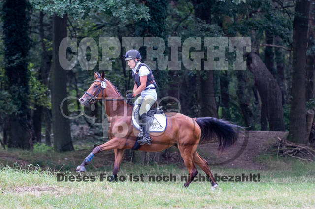 Late-Entry Vielseitigkeit Hamminkeln/Wesel (01.+02.08.2020)