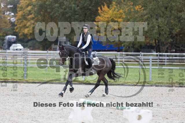 IGV Lehrgang der Sieger der Cups mit Frank Ostholt