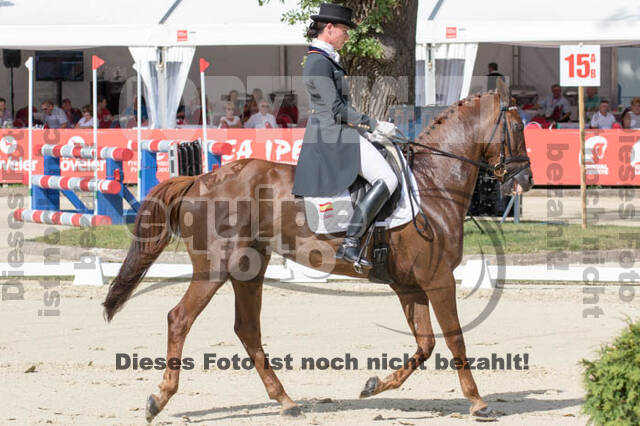 FEI European Championship Eventing 2017