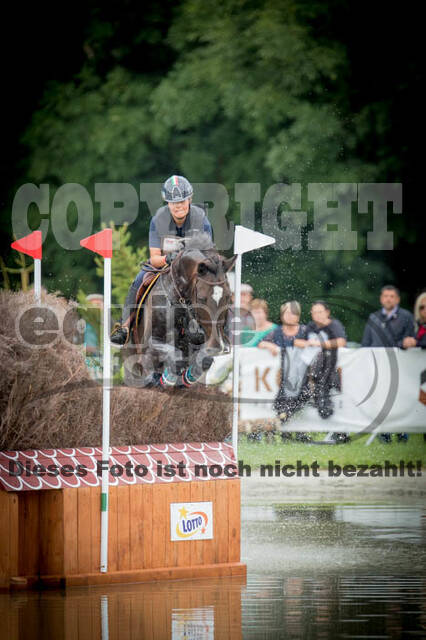 FEI European Championship