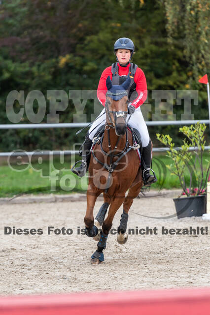 Goldene Schärpe 2020 - Pferde