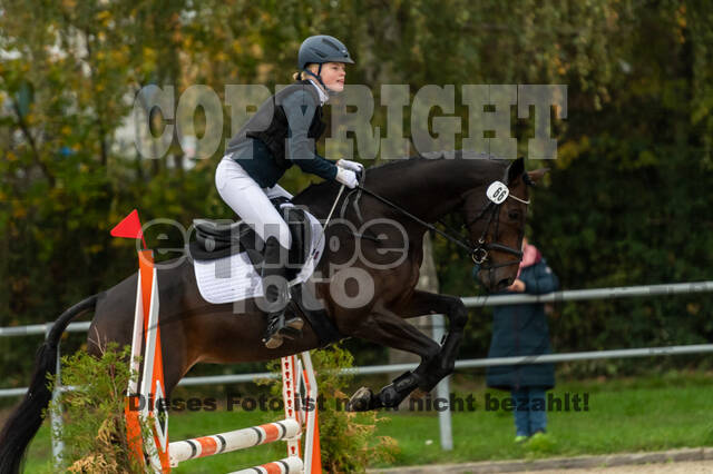 Reiter Schleswig-Holstein