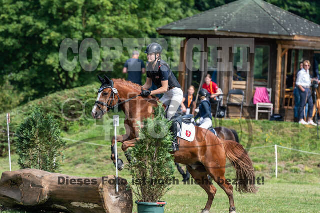 Goldene Schärpe 2021 - Ponys