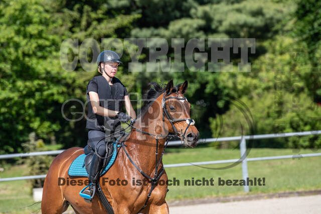 Test of Choise Langenfeld (29.+30.05.2021)