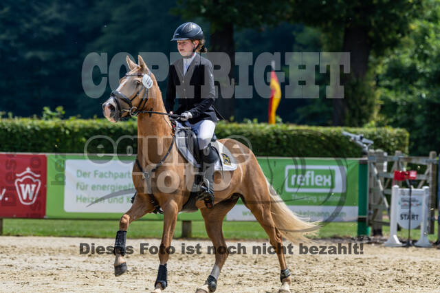 Goldene Schärpe 2021 - Ponys