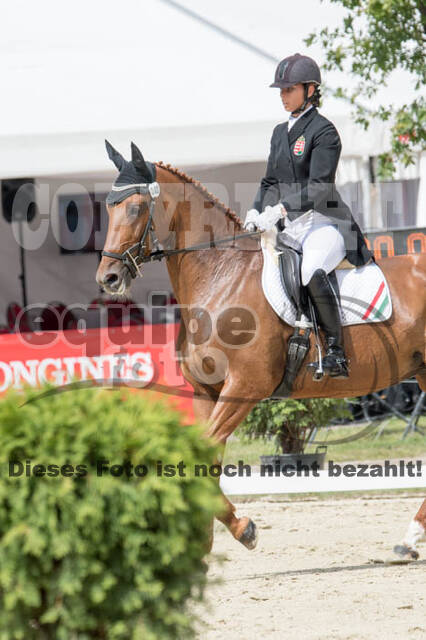 FEI European Championship Eventing 2017