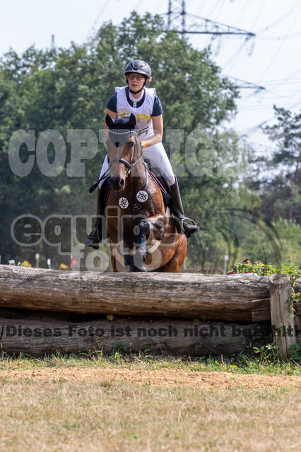 Late-Entry Vielseitigkeit Hamminkeln/Wesel (01.+02.08.2020)
