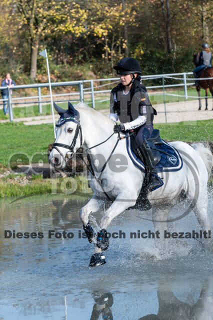 IGV Lehrgang der Sieger der Cups mit Frank Ostholt