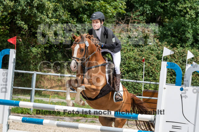 Late-Entry-Vielseitigkeit Langenfeld (06.+07.07.2020)