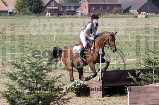 IGV Kleve