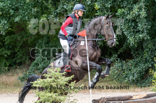 Late-Entry-Vielseitigkeit Langenfeld (11.+13./14.06.2020)