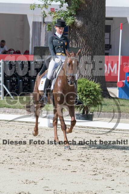 FEI European Championship Eventing 2017