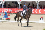 FEI European Championship