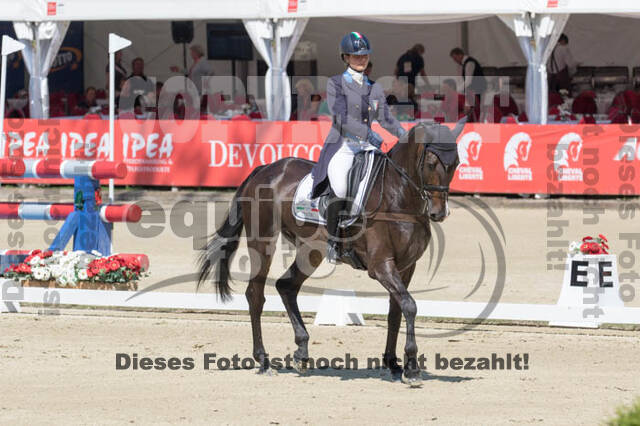 FEI European Championship