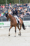 FEI European Championship Eventing 2019