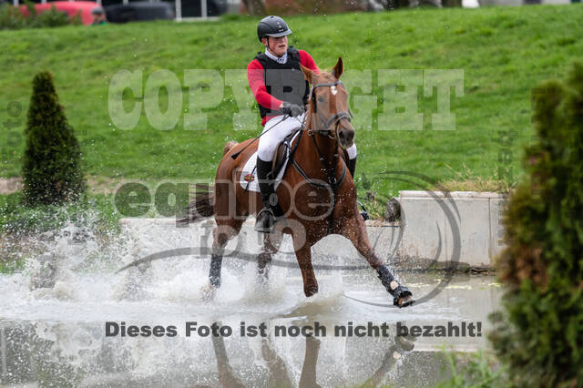 Goldene Schärpe 2020 - Pferde