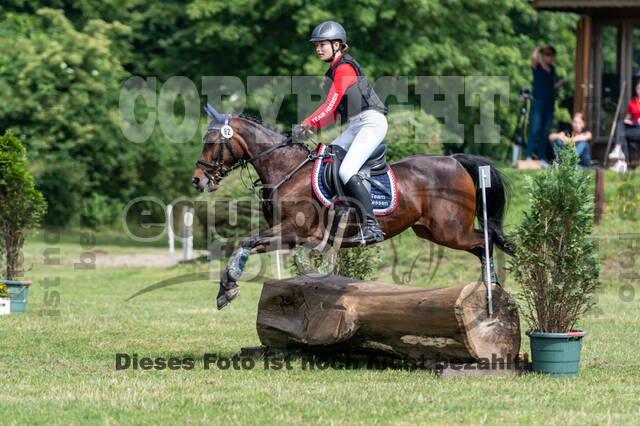 Goldene Schärpe 2021 - Ponys