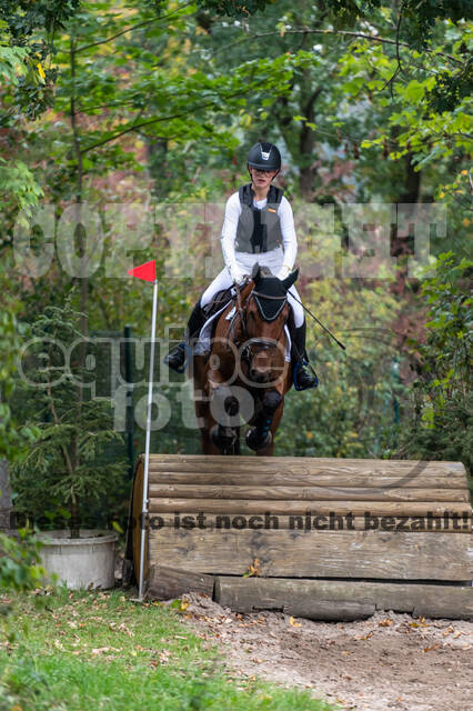 Goldene Schärpe 2020 - Pferde