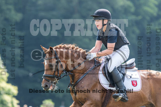 Goldene Schärpe 2021 - Ponys