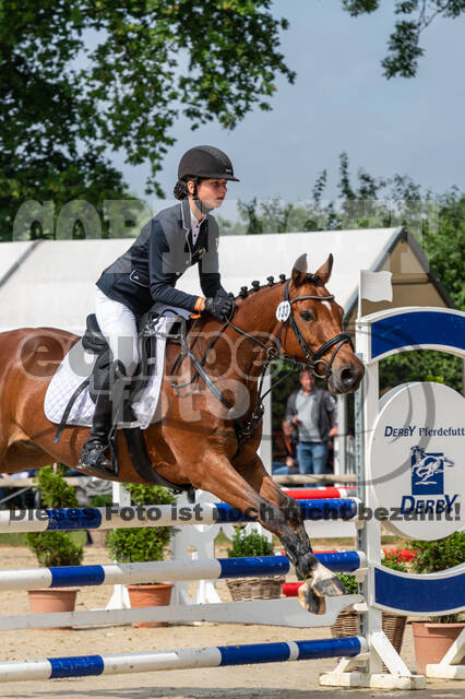 Goldene Schärpe 2021 - Ponys