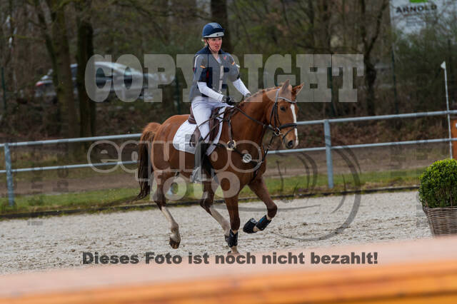 Eventing im Pferdesportzentrum Rheinland (Late Entry 14.03.2022)
